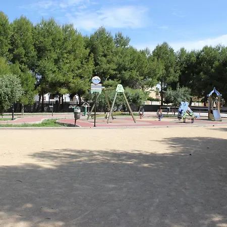 043 Olivar -grosella Denia