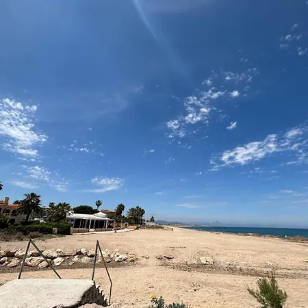 043 Olivar -grosella Denia