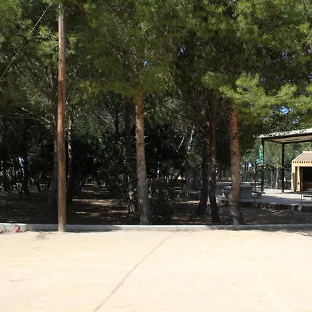 043 Olivar -grosella Vila