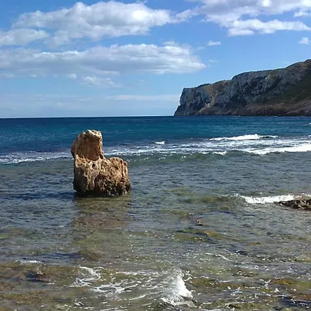 043 Olivar -grosella * Denia