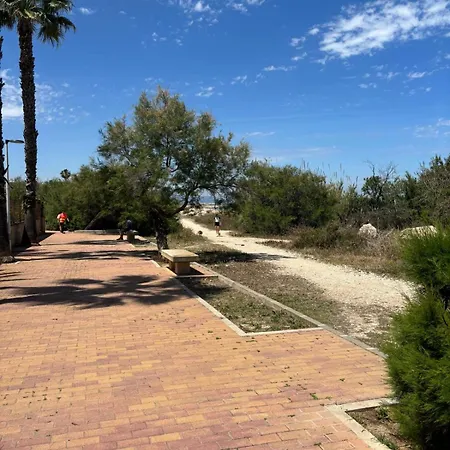 043 Olivar -grosella Vila *