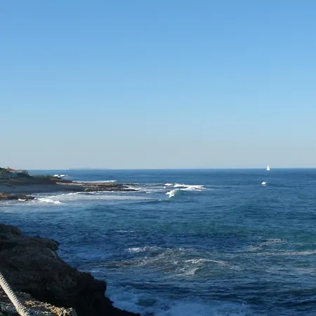 043 Olivar -grosella Vila