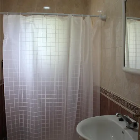 043 Olivar -grosella