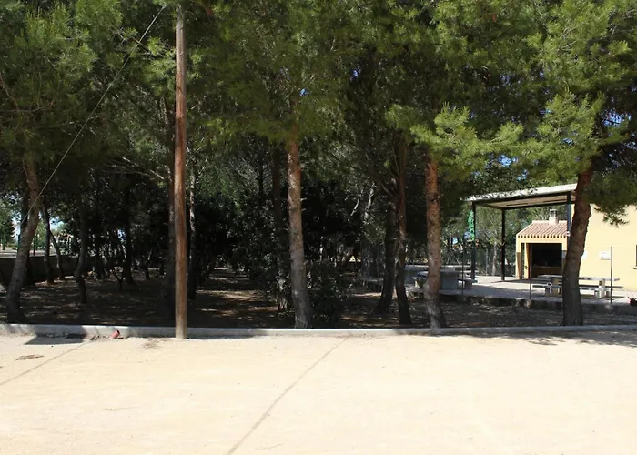 043 Olivar -grosella Villa