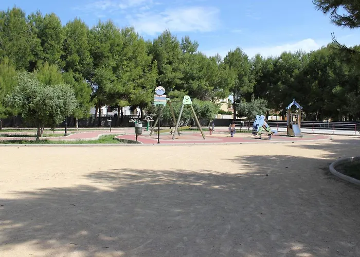 043 Olivar -grosella Dénia